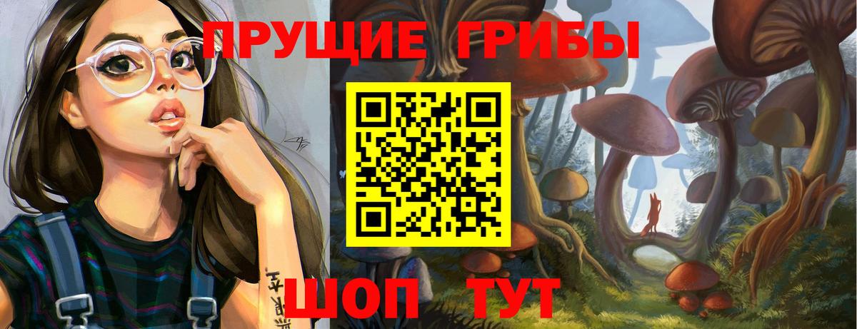 Кстово  Псилоцибиновые грибы Psilocybine cubensis  Вход с VPN 